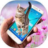Cat On Screen 8.0