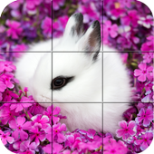 Puzzle - Cute bunnies icon