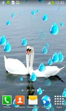 Love Birds Live Wallpapers screenshot 5