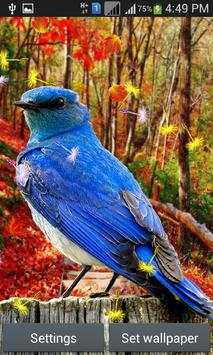 Cute Birds Live Wallpaper screenshot 5