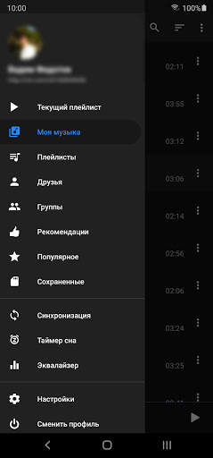 BiRD - Музыка из ВК скриншот 4