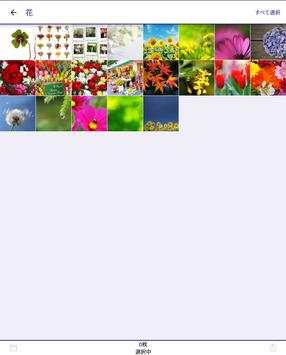 Epson Photo Library screenshot 9
