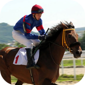Jump Race icon