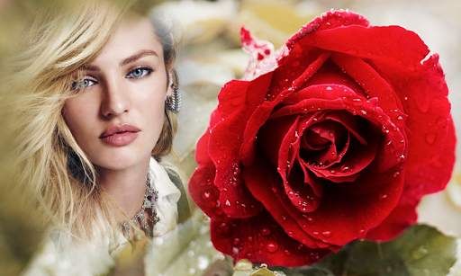 Rose Flower Photo Frames screenshot 5