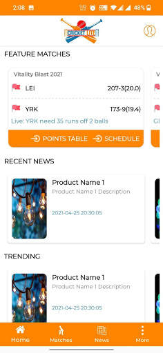 Cricket Lite screenshot 2
