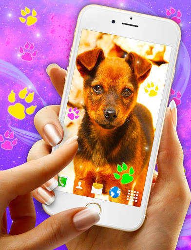 Cute Puppy Live Wallpaper 🐶 Dog Paws Wallpapers screenshot 3