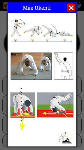 Karate in brief screenshot 4
