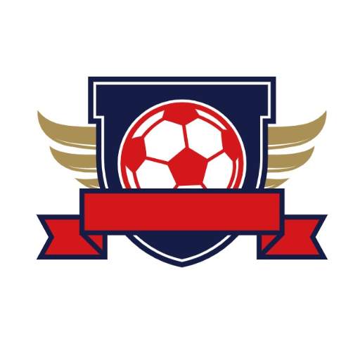 Football Logo Ideas 2.5