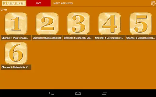 MC-IN screenshot 5