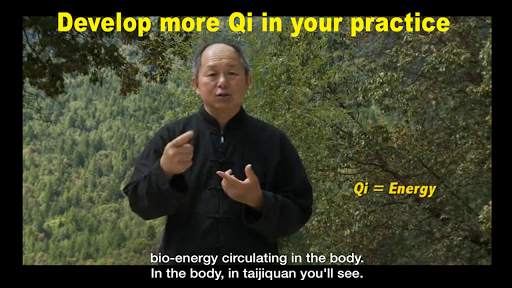 Yang Tai Chi Beginners Part 1 screenshot 11