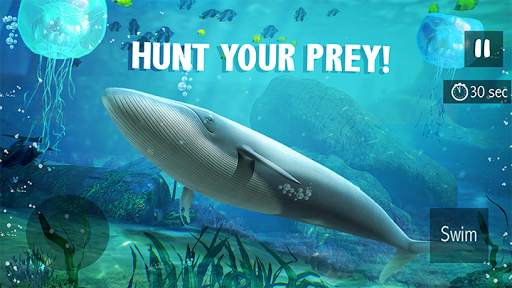 Blue Whale Simulator - Game screenshot 4