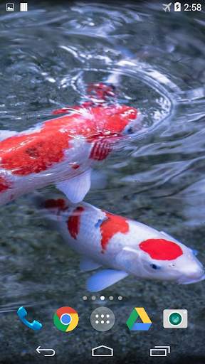 Koi 3D Live Wallpaper screenshot 1