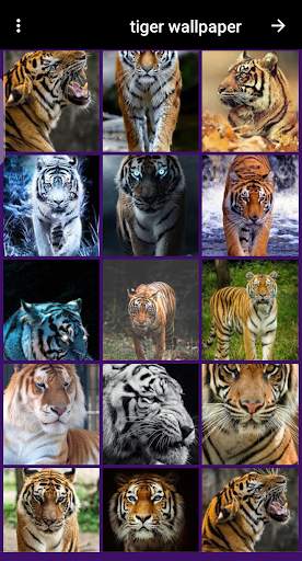tiger wallpaper screenshot 2