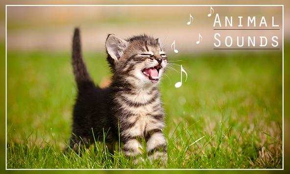 Animal Sounds screenshot 4