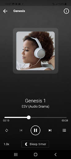 English Audio Bible: ESV screenshot 2