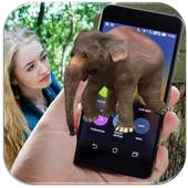 Elephant on Screen Funny Joke 1.0