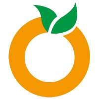OrangeWifi VPN logo