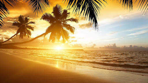 Beach Sunset Live Wallpaper screenshot 6