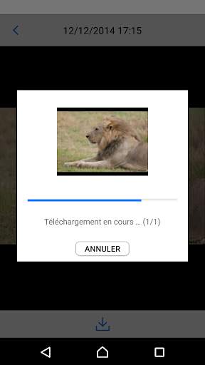 Canon Connect Station screenshot 4