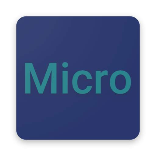 Micro 1.0