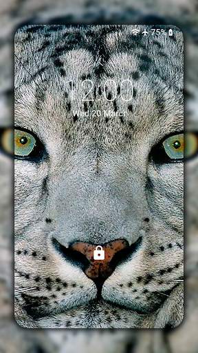 Snow Leopard Wallpaper HD : backgrounds & themes screenshot 4