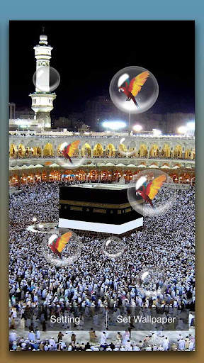 Mecca Live Wallpaper screenshot 2