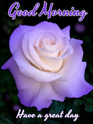 Good Morning Flowers Images GIF screenshot 2