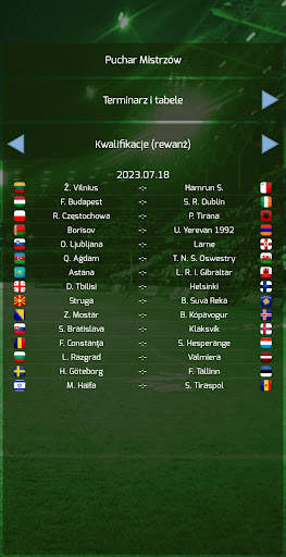 True Football 3 screenshot 6
