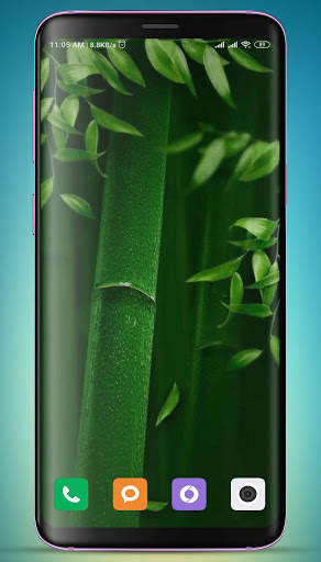 Bamboo Wallpaper HD screenshot 8