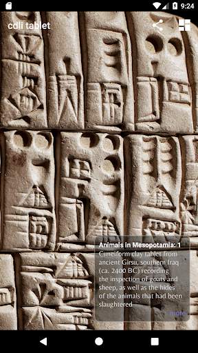 cdli tablet скриншот 4
