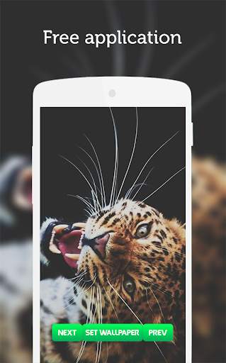 Leopard Wallpaper screenshot 4