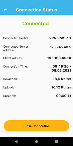 Berqnet VPN screenshot 2