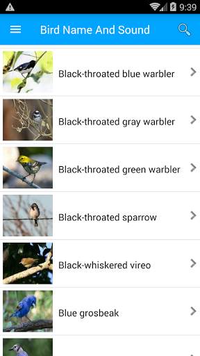 Bird Name And Sound screenshot 6