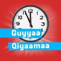 Guyyaa Qiyaamaa icon