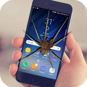 Spider On Screen Scary Joke - Hissing Joke 1.0