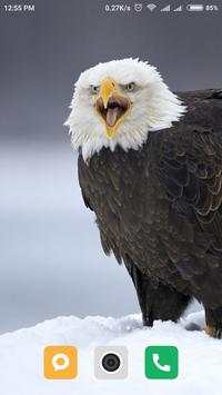 Bird wallpaper screenshot 15