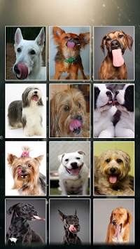 Licking Dog Wallpaper screenshot 1