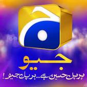 URDU NEWS icon
