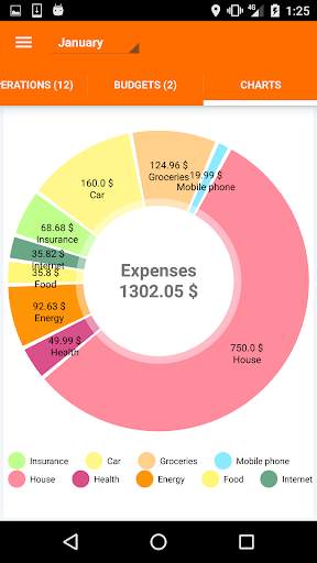 My Budget screenshot 6
