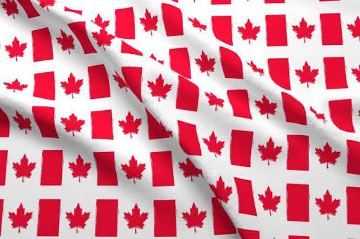 usa canada day special - gif Whatsapp status screenshot 7