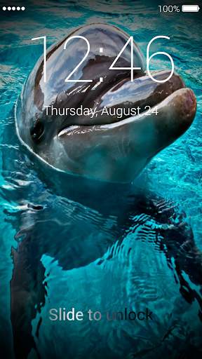Dolphins Wallpapers & Lock screenshot 8