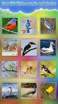 Bird Sound screenshot 3