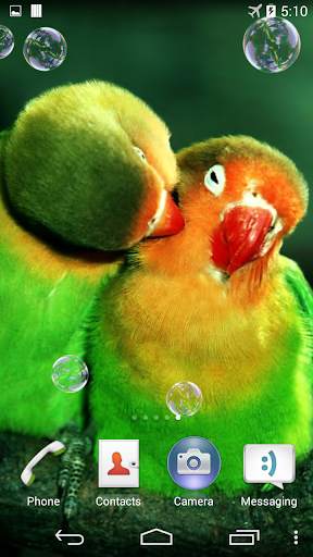 Parrots Live Wallpaper screenshot 1
