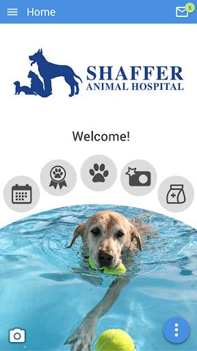 Shaffer Animal Hospital screenshot 5