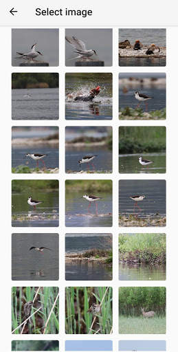 Photo Compare screenshot 2