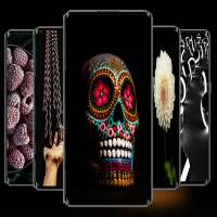 Black Wallpaper Full HD 4k on 9Apps