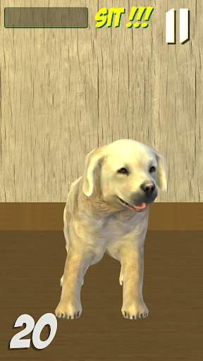 PetDog Game screenshot 2