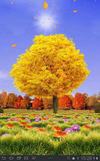 Autumn Trees Free screenshot 1