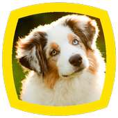 Dog Sounds