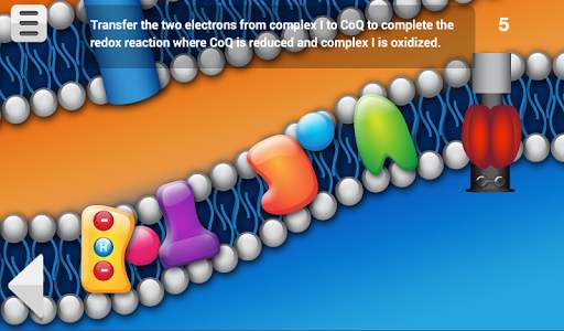 Biology Cellular Respiration screenshot 14
